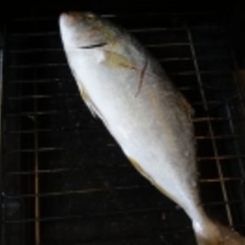 淡白な味わい カンパチの塩焼き レシピ 作り方 By Startrek 楽天レシピ 淡白な味わい カンパチの塩焼き レシピ 作り方 By Startrek 楽天レシピ